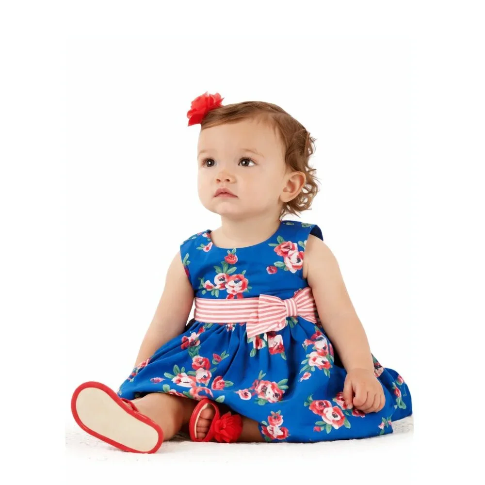 Gymboree Baby Girls Gazebo Party Cotton Floral Dress 18-24 Mo Blue Pink Rose